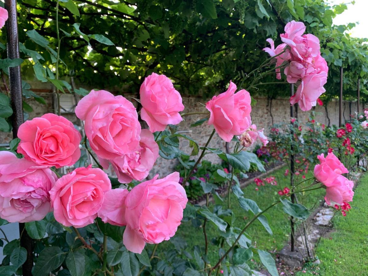 Bed & Breakfast La Preziosa